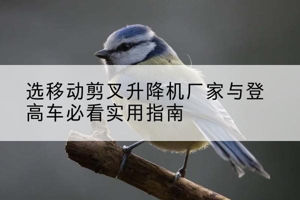 阿城电动升降机厂家-选移动剪叉升降机厂家与登高车必看实用指南