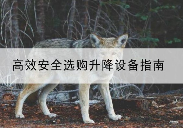 阿城升降货梯厂家推荐-*安全选购升降设备指南