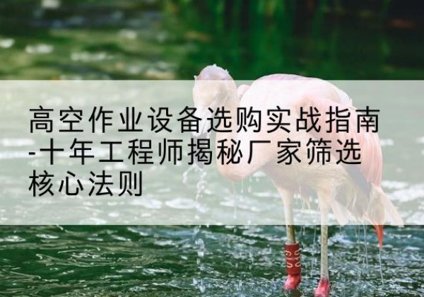 阿城剪叉式升降机厂家-高空作业设备选购实战指南-十年工程师揭秘厂家筛选核心法则